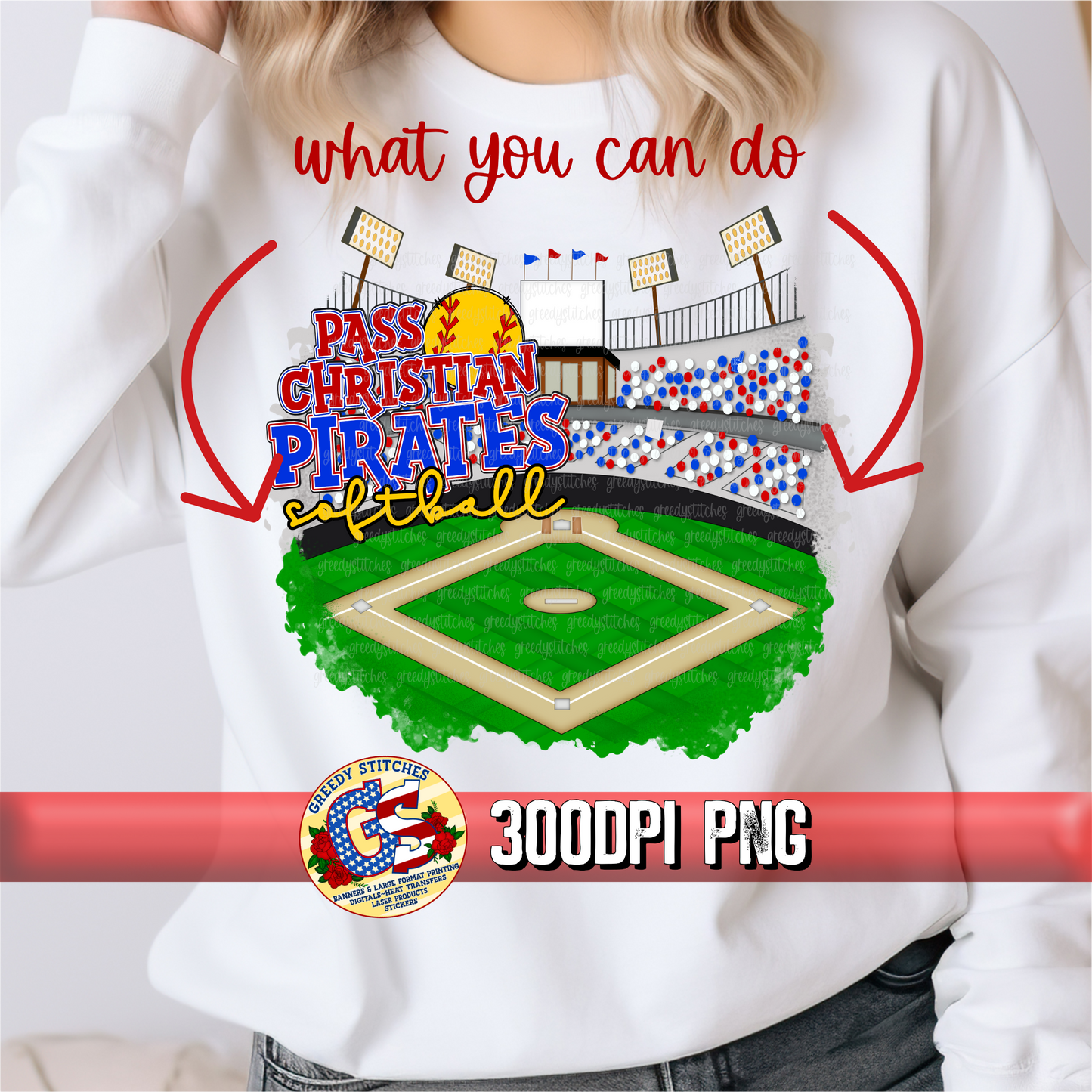 Baseball/Softball Field with Fans in Stands PNG - Royal and Grey