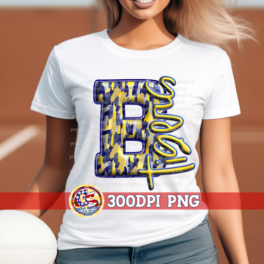 Bay Tigers 3D Inflated PNG