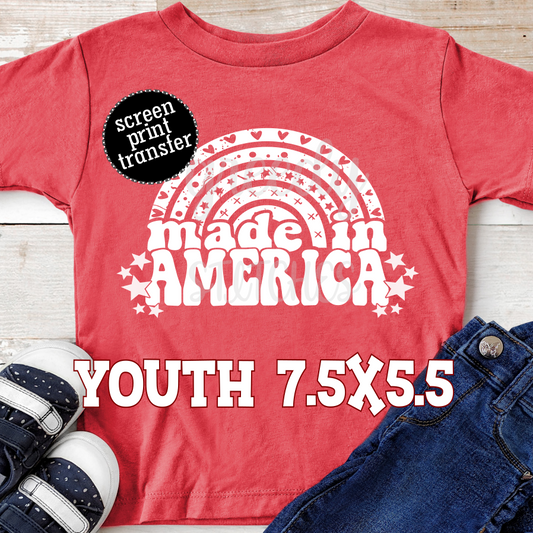 Made in America Rainbow YOUTH Screen Print Transfer-July 4th