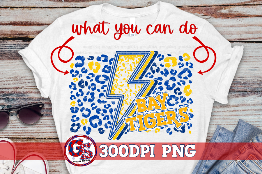 Lightning Bolt and Leopard PNG Bundle for Sublimation